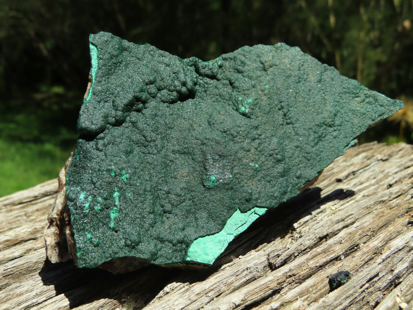 Natural Micro botryoidal Malachite on Matrix (Medium to Large Specimens ) x 2 From Congo - TopRock