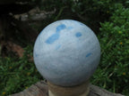 Polished Small Blue Spotted Spinel Spheres x 6 From Madagascar - TopRock