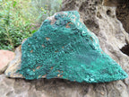 Natural Drusi Coated Malachite Specimens x 3 From Tenke Fungurume, Congo - TopRock