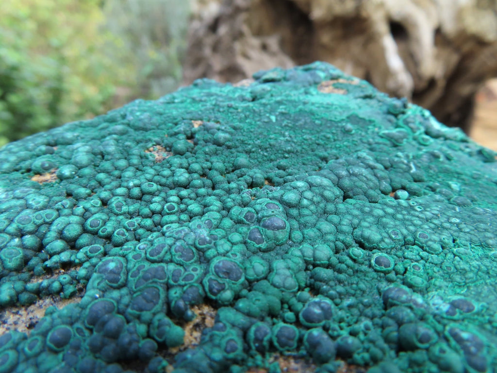 Natural Drusi Coated Malachite Specimens x 3 From Tenke Fungurume, Congo - TopRock