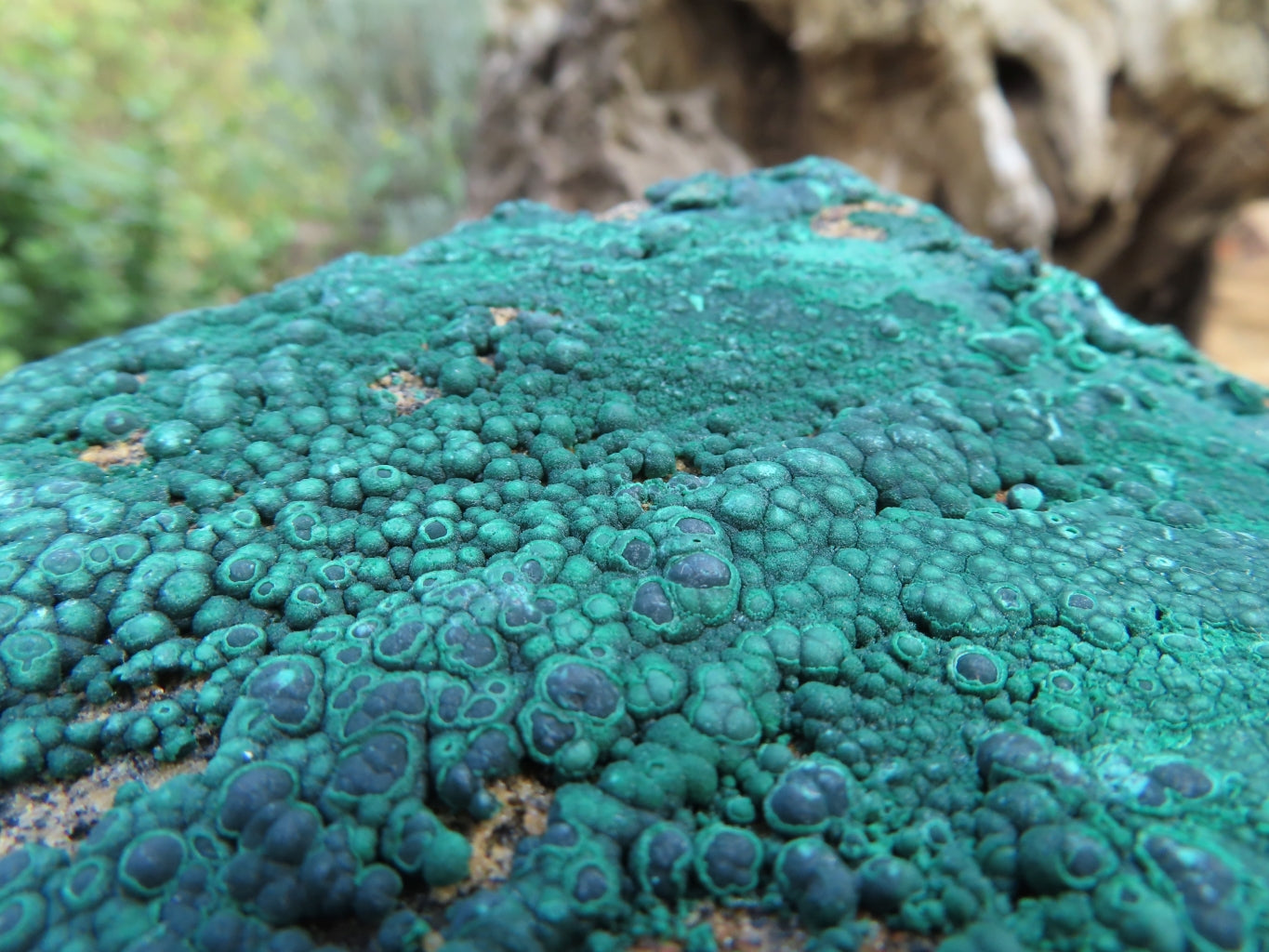 Natural Drusi Coated Malachite Specimens x 3 From Tenke Fungurume, Congo - TopRock