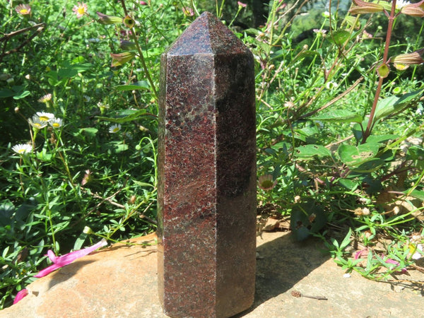 Polished Garnet Crystal Points x 2 From Madagascar - TopRock