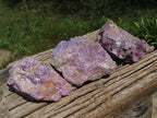 Natural Rare Stichtite & Green Serpentine Specimens x 3 From Barberton, South Africa - TopRock