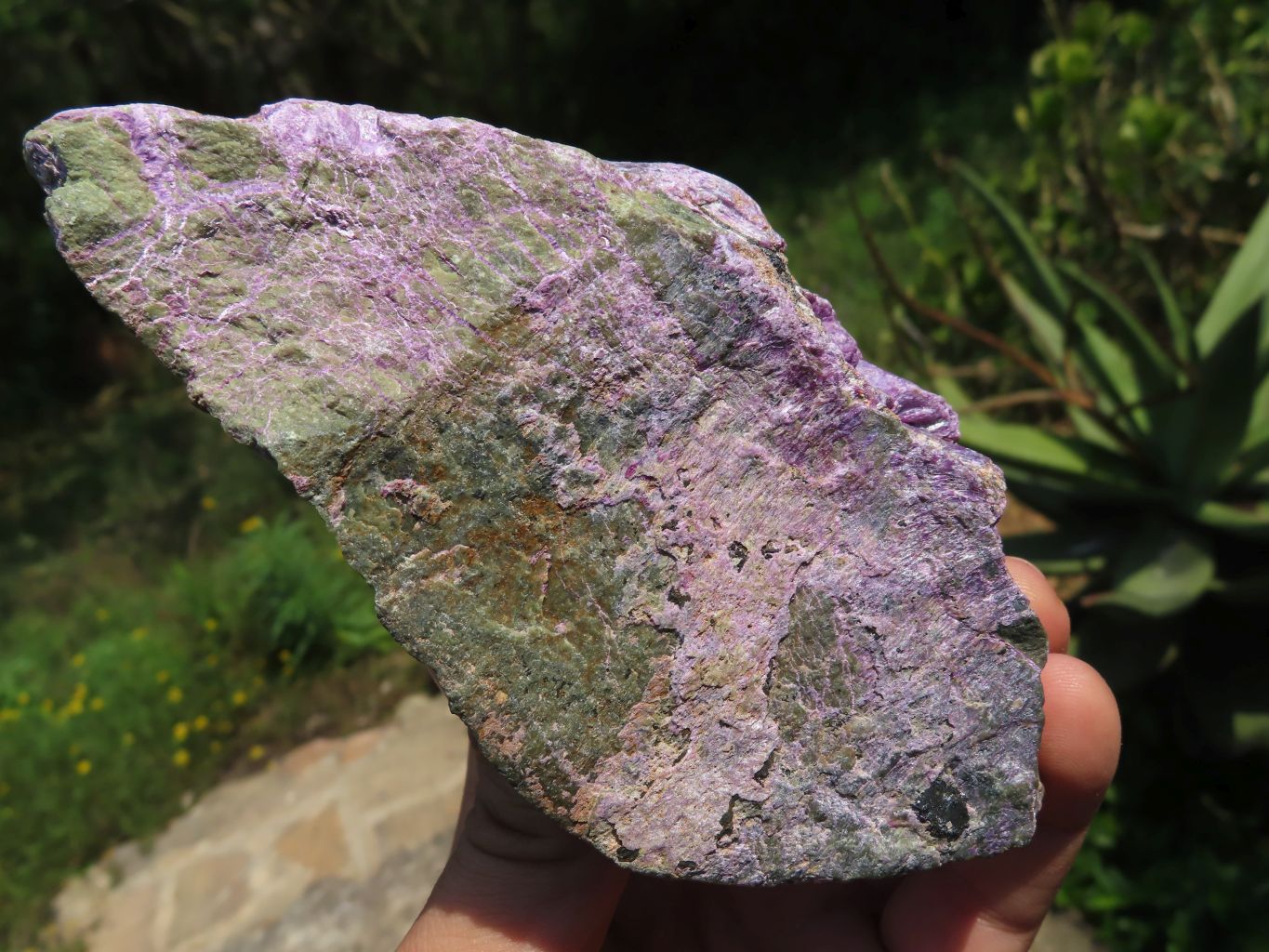 Natural Rare Stichtite & Green Serpentine Specimens x 3 From Barberton, South Africa - TopRock