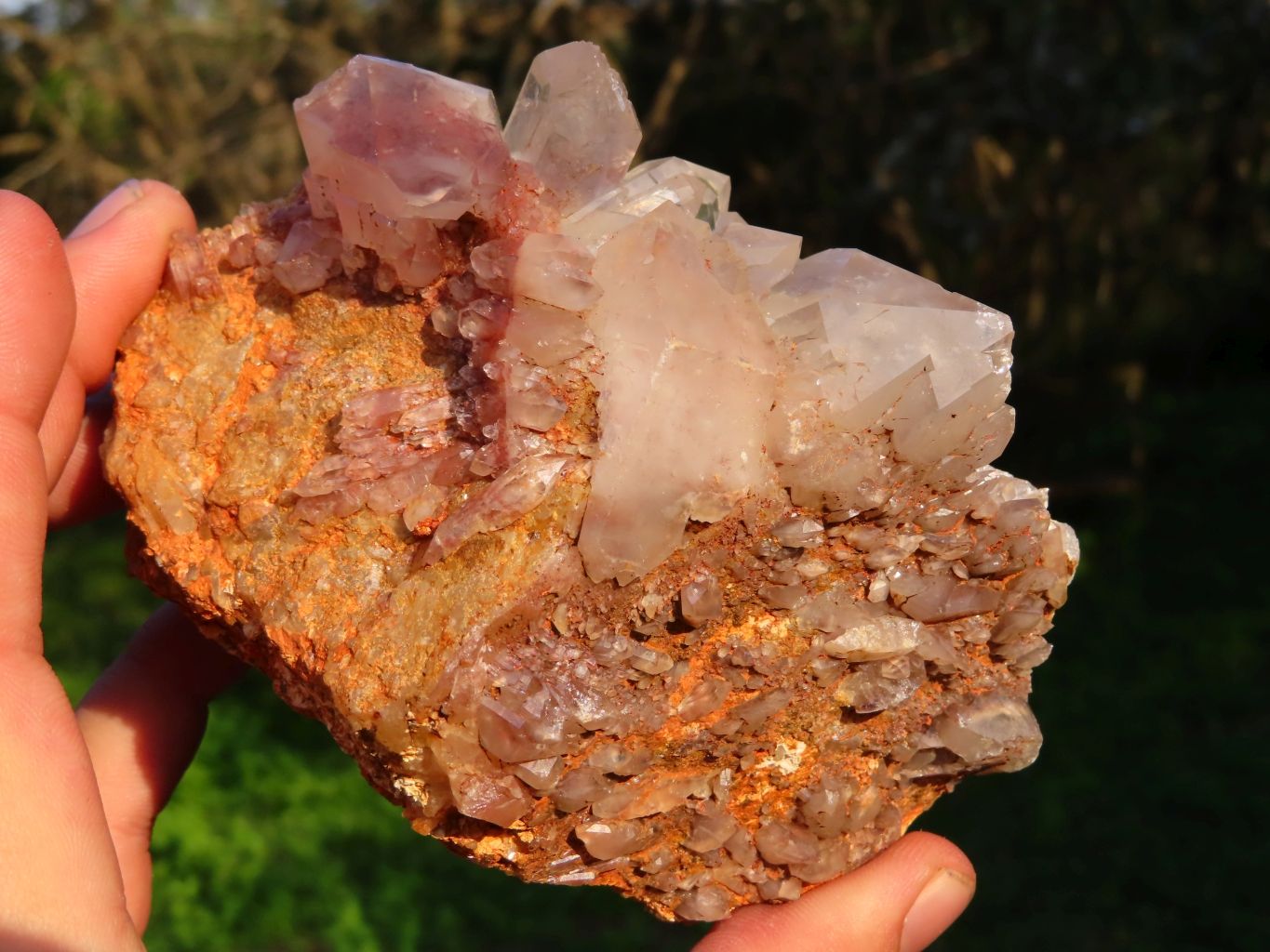 Natural Hematoid Quartz Clusters x 3 From Zimbabwe - TopRock