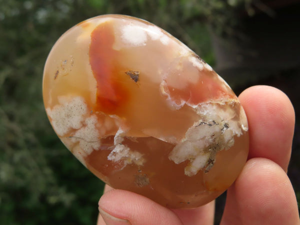 Polished Coral Flower Agate Gallets x 12 From Madagascar - TopRock