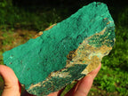 Natural Drusy Malachite Crystals on Matrix  x 2 From Tenke, Congo - TopRock