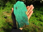 Natural Drusy Malachite Crystals on Matrix  x 2 From Tenke, Congo - TopRock
