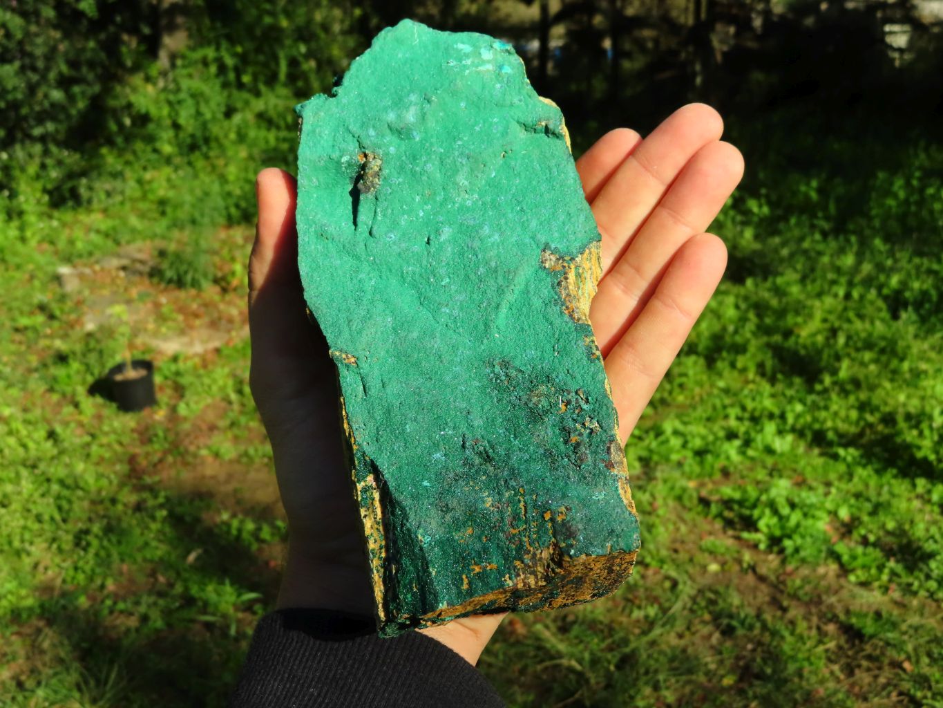 Natural Drusy Malachite Crystals on Matrix  x 2 From Tenke, Congo - TopRock