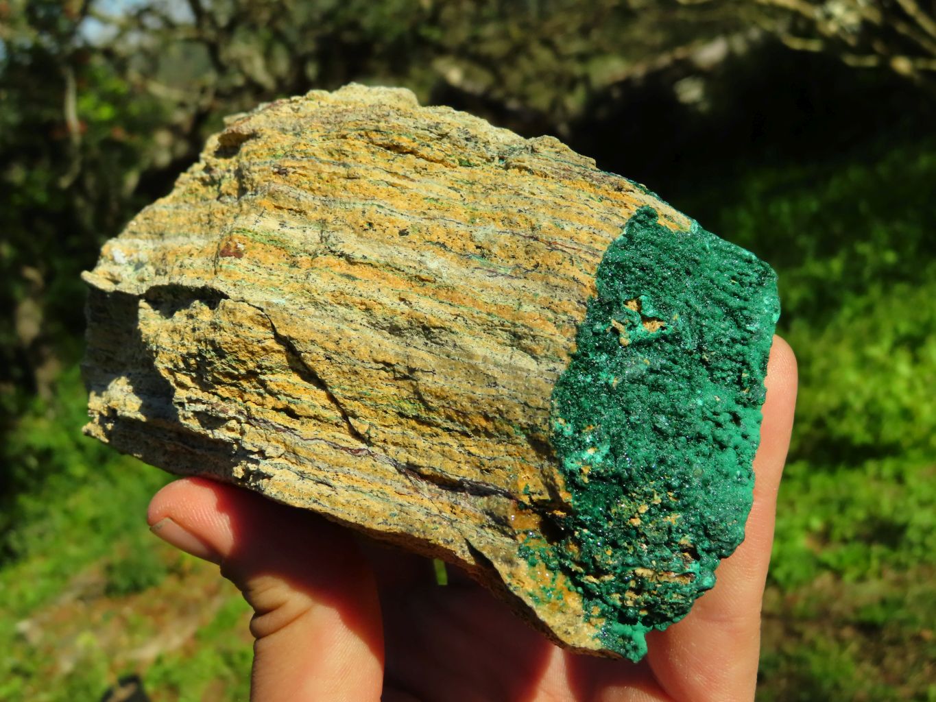 Natural Drusy Malachite Crystals on Matrix  x 2 From Tenke, Congo - TopRock