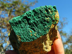 Natural Drusy Malachite Crystals on Matrix  x 2 From Tenke, Congo - TopRock