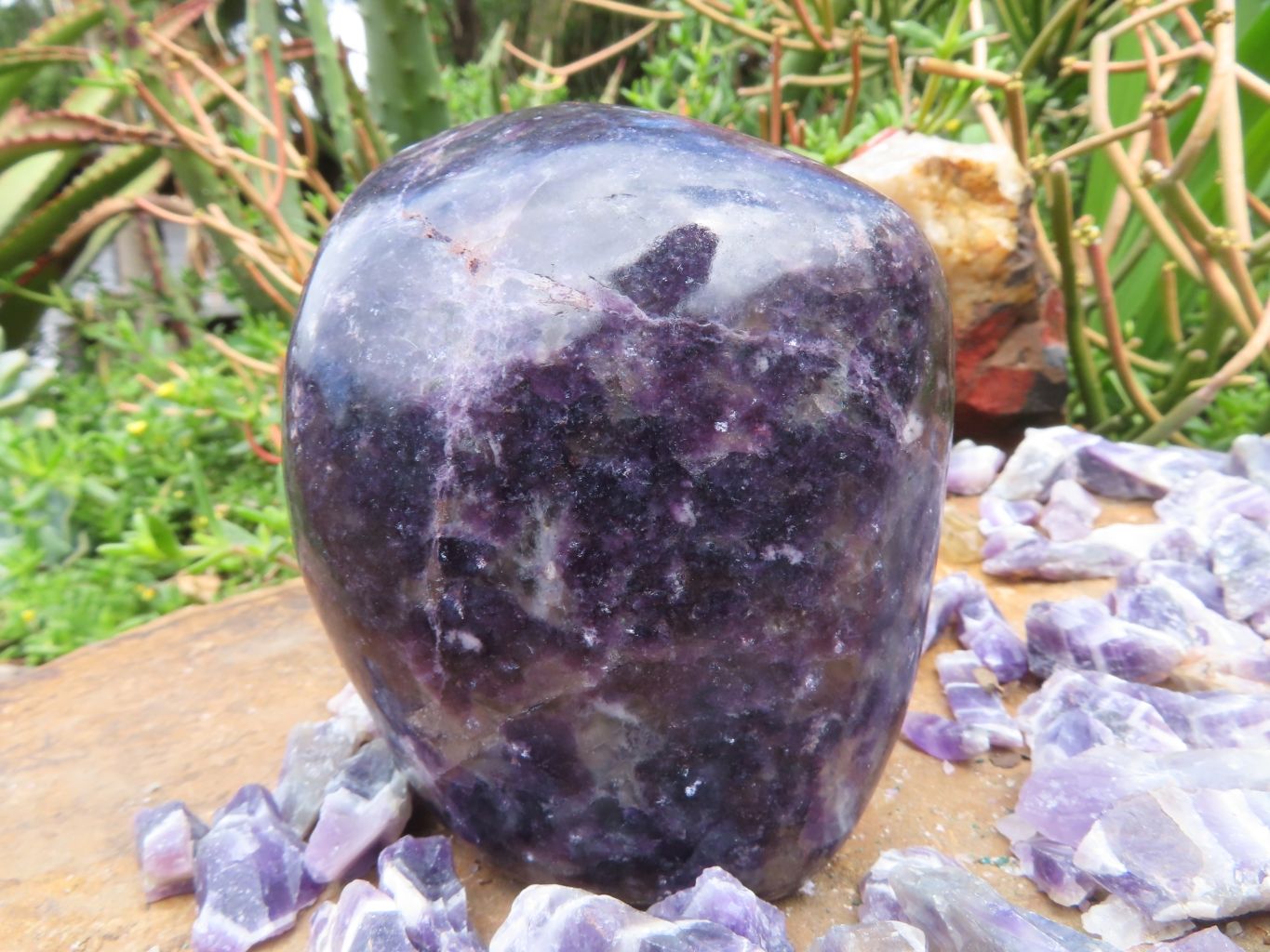 Polished Lepidolite Free Forms x 2 From Zimbabwe - TopRock