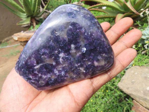 Polished Lepidolite Free Forms x 2 From Zimbabwe - TopRock