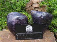 Polished Lepidolite Free Forms x 2 From Zimbabwe - TopRock