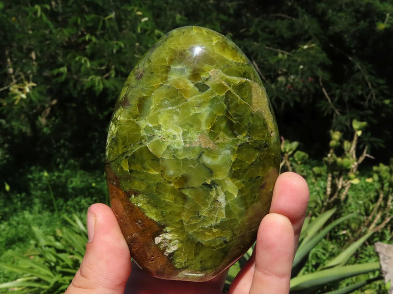Green apple deals opal