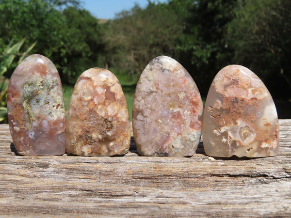 Polished Coral Flower Agate Standing Free Forms x 24 From Antsahalova, Madagascar - TopRock