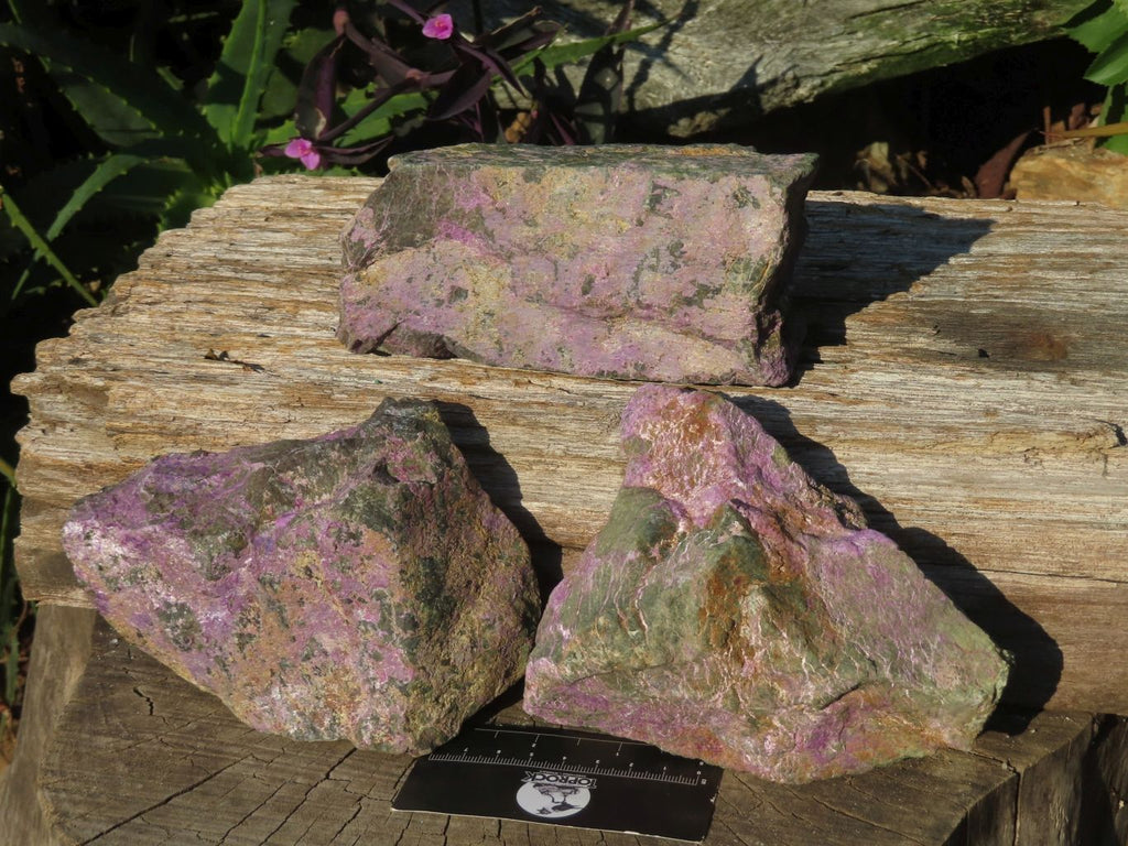 Natural Selected Rare Stichtite & Green Serpentine Specimens x 3 From Barberton, South Africa - TopRock