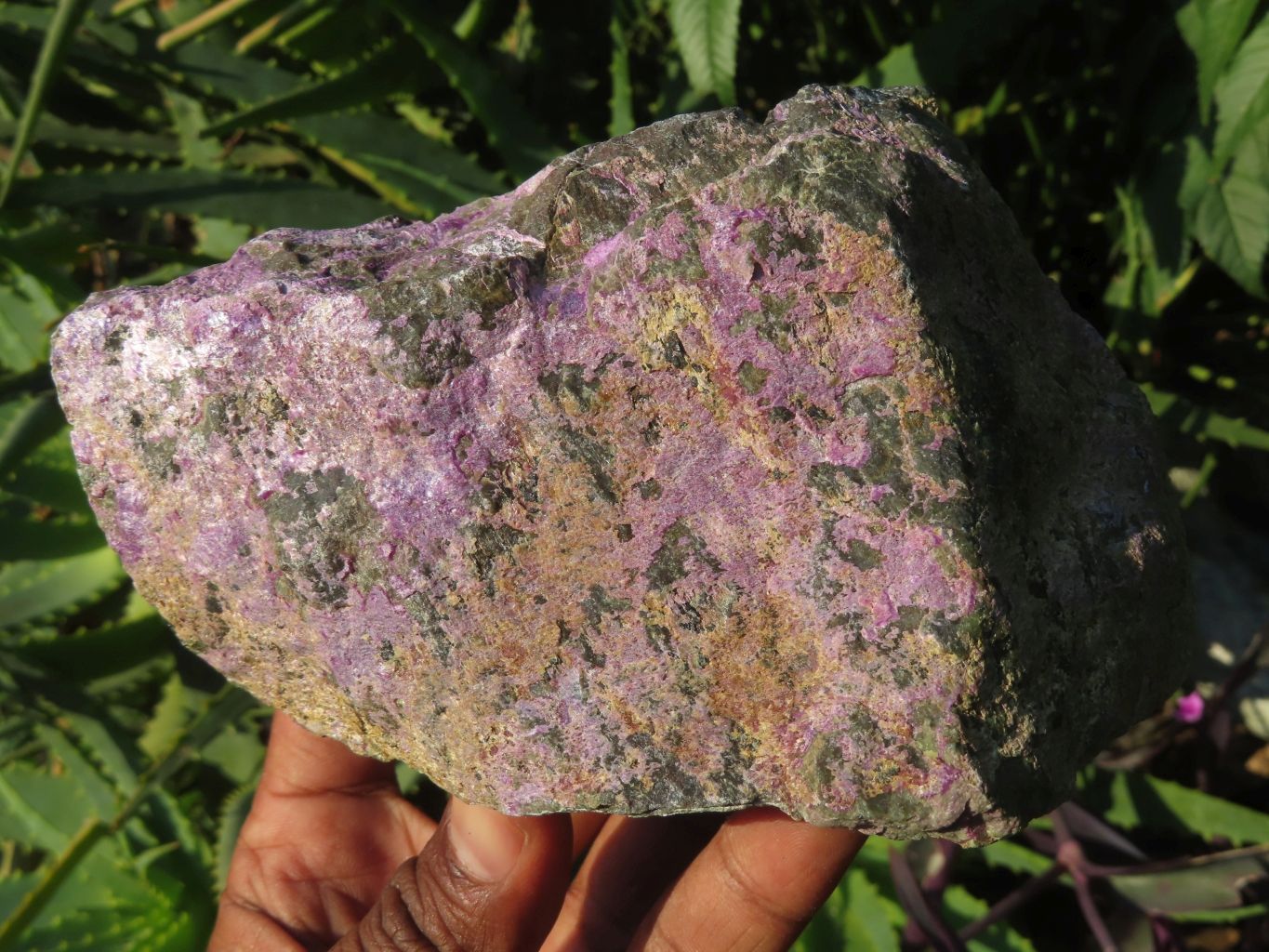 Natural Selected Rare Stichtite & Green Serpentine Specimens x 3 From Barberton, South Africa - TopRock