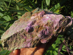 Natural Selected Rare Stichtite & Green Serpentine Specimens x 3 From Barberton, South Africa - TopRock