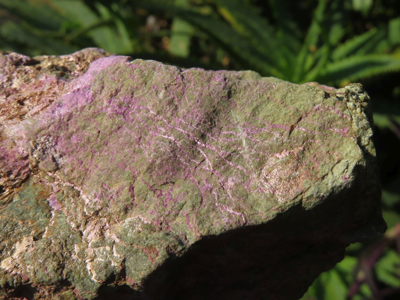 Natural Selected Rare Stichtite & Green Serpentine Specimens x 3 From Barberton, South Africa - TopRock