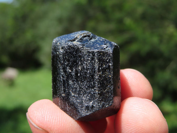 Natural Terminated Small Black Tourmaline Crystals x Lot x 1 From Zimbabwe - TopRock