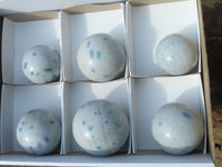 Polished Small Affordable Blue Spotted Spinel Spheres x 6 From Madagascar - TopRock