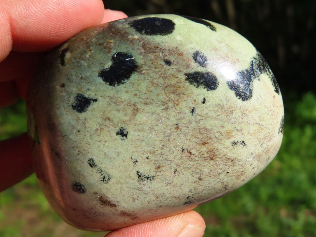 Polished Leopard Stone Gallets x 6 From Zimbabwe - TopRock