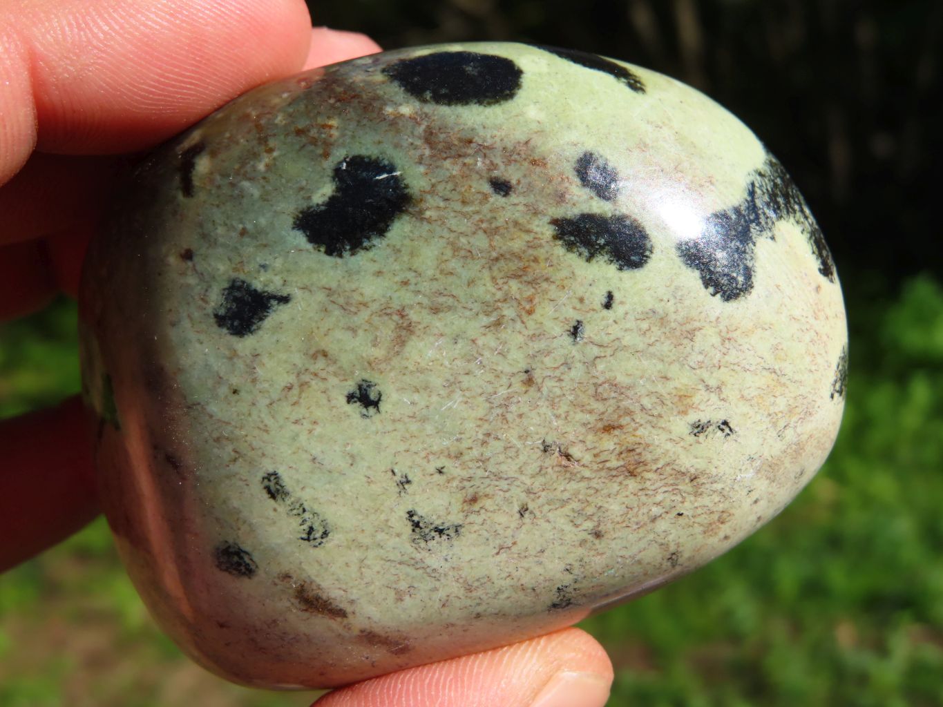 Polished Leopard Stone Gallets x 6 From Zimbabwe - TopRock