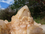Natural Castle Quartz Cluster With Cascading Window Termination x 1 From Ambatfinhandrana, Madagascar - TopRock