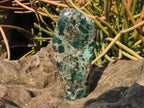 Polished Emeralds In Matrix Free Forms x 6 From Zimbabwe - TopRock