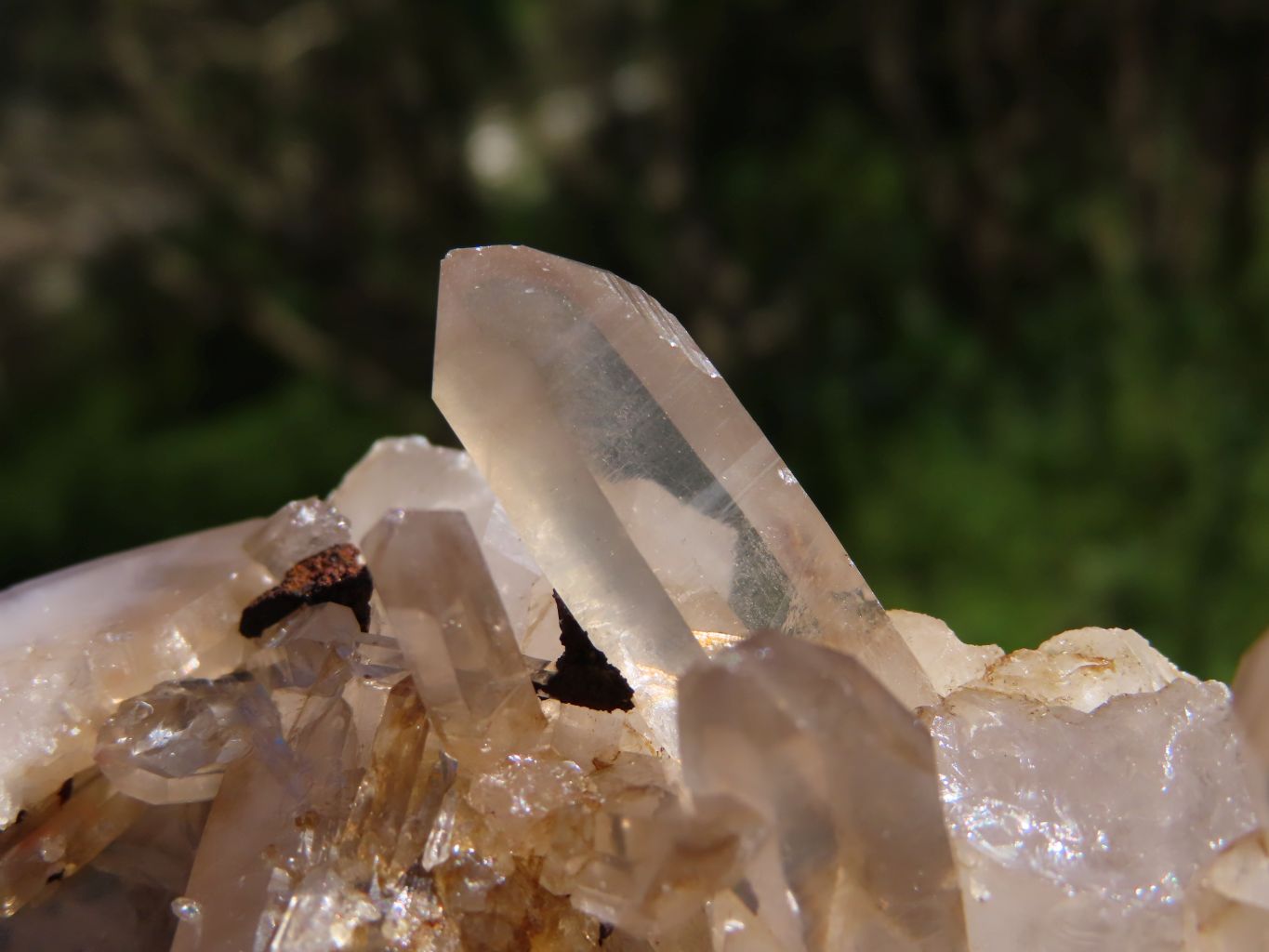 Natural Madagascar Quartz Clusters x 6 From Madagascar - TopRock