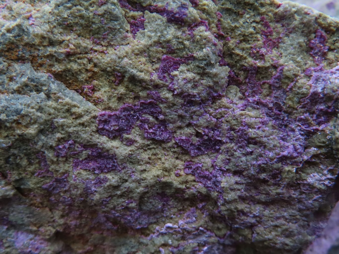 Natural Rare Stichtite & Green Serpentine Specimens x 2 From Barberton, South Africa - TopRock