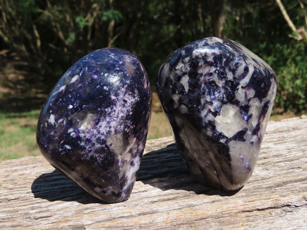 Polished Deep Purple Silver Leaf Lepidolite Standing Free Forms x 2 From Zimbabwe - TopRock