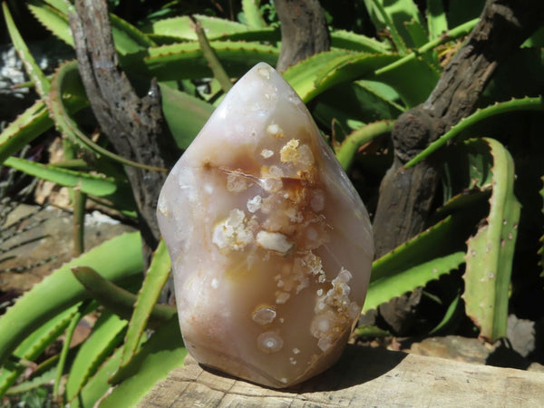 Polished Coral Flower Agate Flames x 3 From Madagascar - TopRock