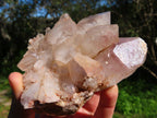 Natural Hematoid Quartz Clusters x 3 From Zimbabwe - TopRock