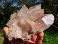Natural Hematoid Quartz Clusters x 3 From Zimbabwe - TopRock