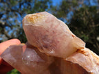 Natural Hematoid Quartz Clusters x 3 From Zimbabwe - TopRock