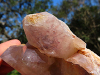 Natural Hematoid Quartz Clusters x 3 From Zimbabwe - TopRock