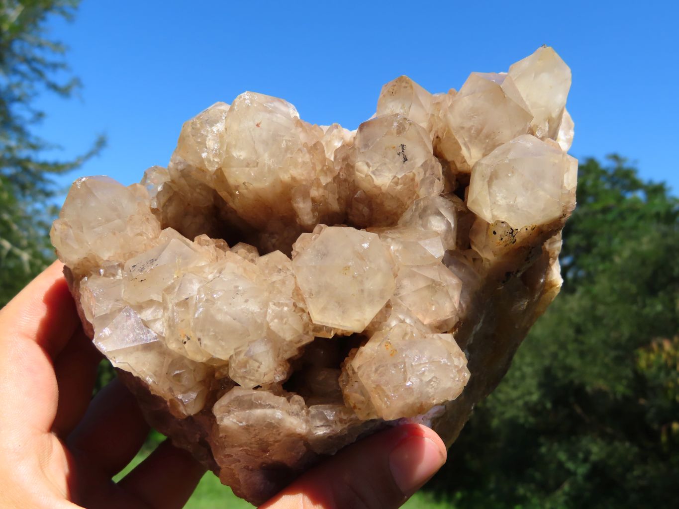 Natural Smokey Phantom Quartz Cluster x 1 From Lwena, Congo - TopRock