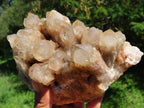 Natural Smokey Phantom Quartz Cluster x 1 From Lwena, Congo - TopRock