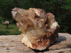 Natural Hematoid Quartz Cluster x 1 From Karoi, Zimbabwe - TopRock