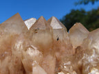 Natural Smokey Phantom Quartz Cluster x 1 From Lwena, Congo - TopRock