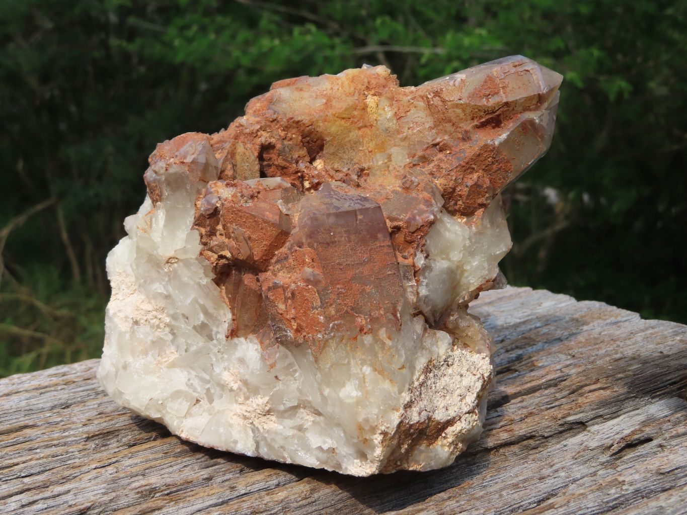 Natural Hematoid Quartz Cluster x 1 From Karoi, Zimbabwe - TopRock