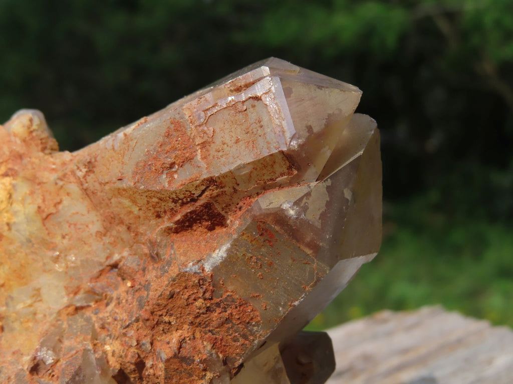 Natural Hematoid Quartz Cluster x 1 From Karoi, Zimbabwe - TopRock