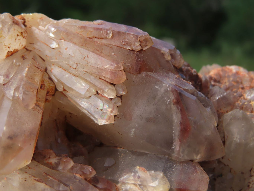 Natural Hematoid Quartz Cluster x 1 From Karoi, Zimbabwe - TopRock