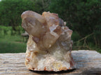 Natural Hematoid Quartz Cluster x 1 From Karoi, Zimbabwe - TopRock
