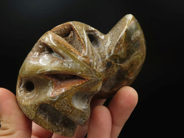 Polished Nautilus Fossil Sculptures x 2 From Madagascar - TopRock