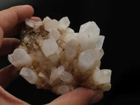 Natural Mixed Malagasy Quartz Clusters x 5 From Madagascar - TopRock
