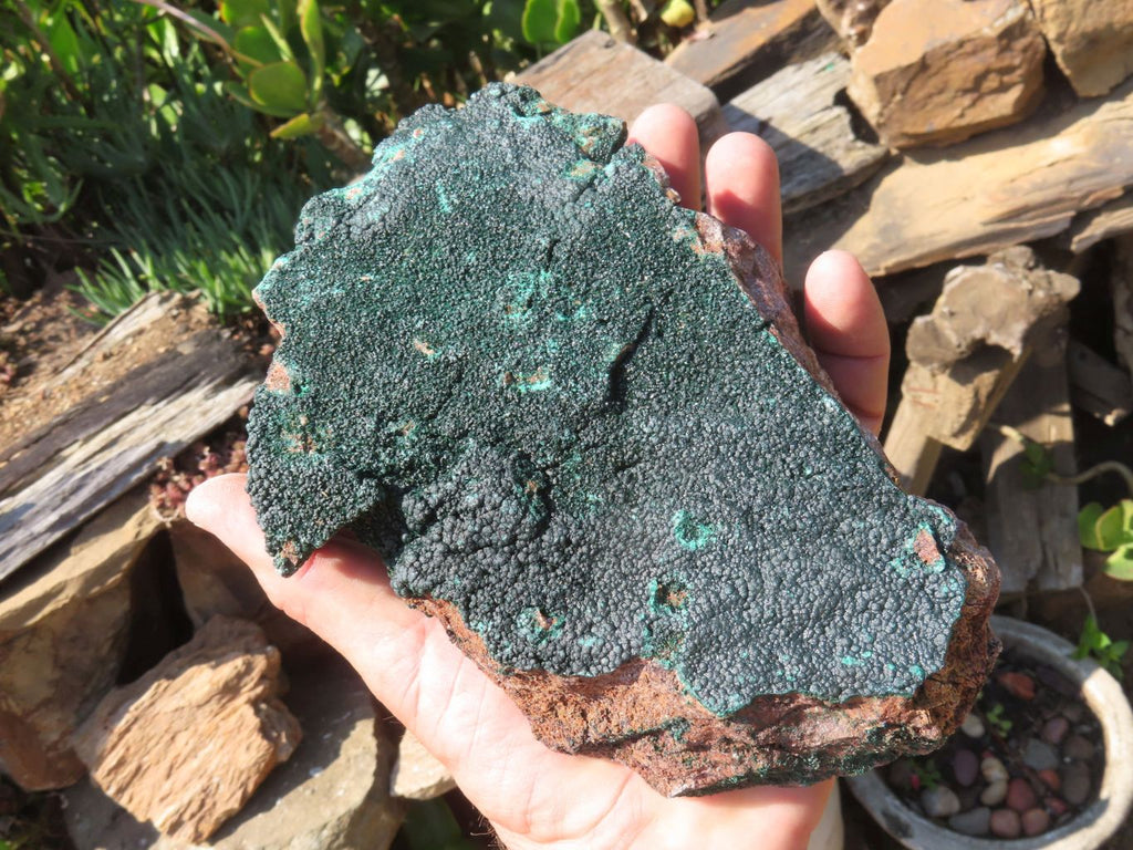 Natural Malachite Specimen x 1 From Tenke Fungurume, Congo - TopRock