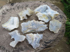 Natural Etched Blue Lace Agate Geodes x 7 From Malawi - TopRock